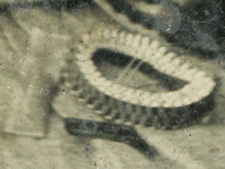 Brushing hair (tintype) 2